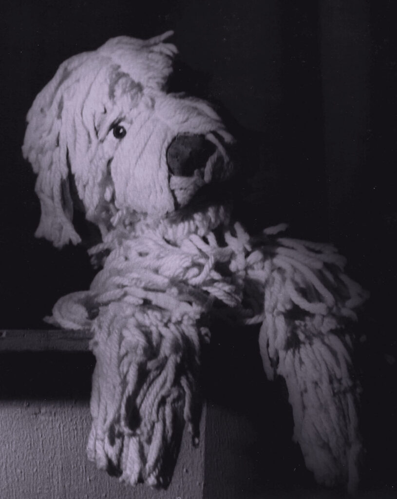 Figure 2. Violet, one of Nancy Staub’s first puppets. Punchinello Puppets, 
circa 1956. (Photo: Arthur W. Tong)
